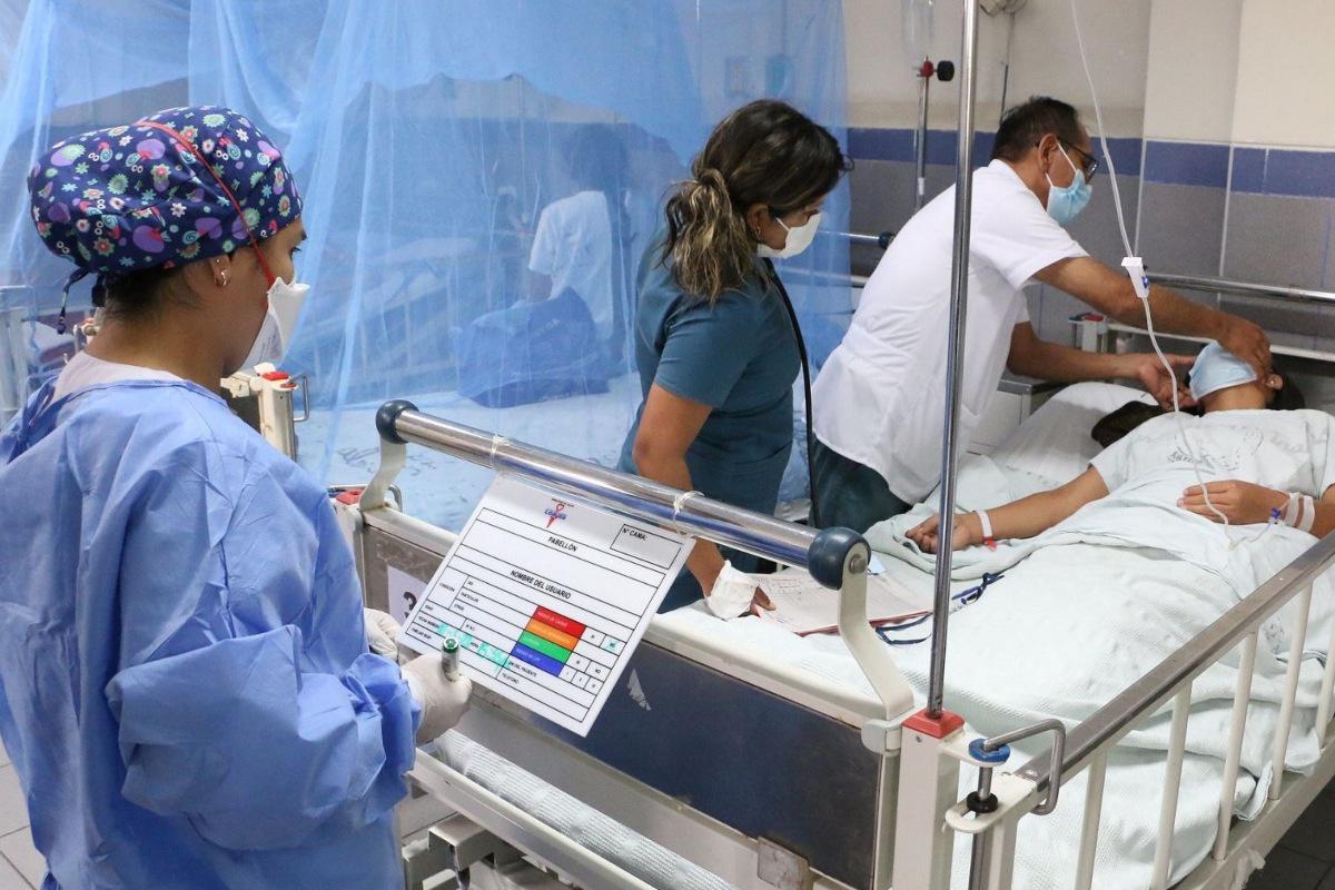 Avanza el dengue: descontrol y récord de casos y fallecidos