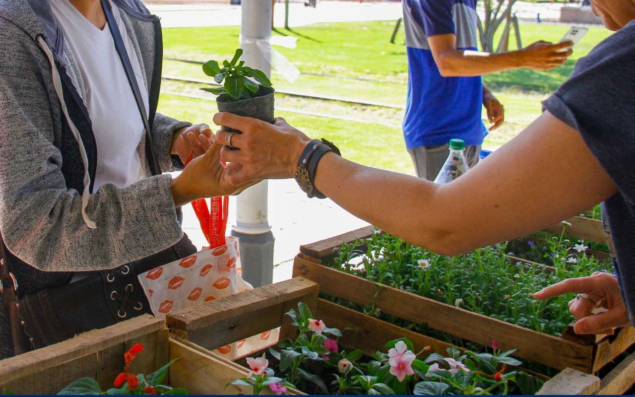 El Eco Canje vuelve a Ituzaingó en octubre