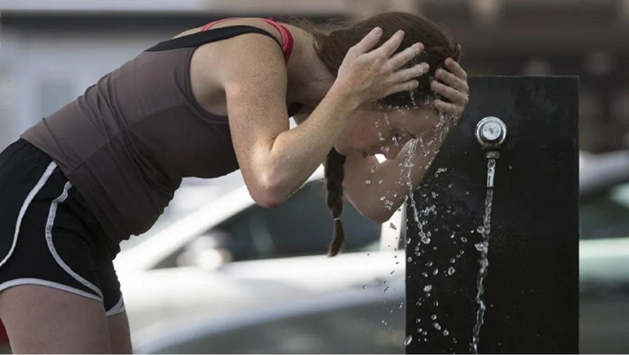 Ola de calor: Se espera un fin de año con altas temperaturas