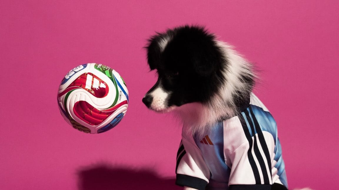 Adidas lanzó una camiseta para mascotas