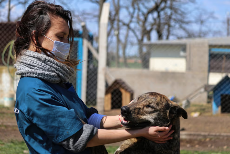 "Semana de los animales": Últimos días para aprovechar los descuentos en tiendas y veterinarias en Morón