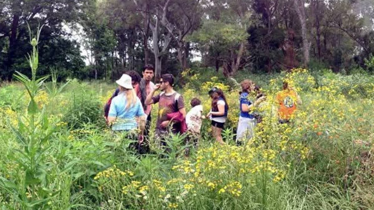 El Jardín Botánico "Arturo Ragonese" invita a participar de una jornada llena de talleres