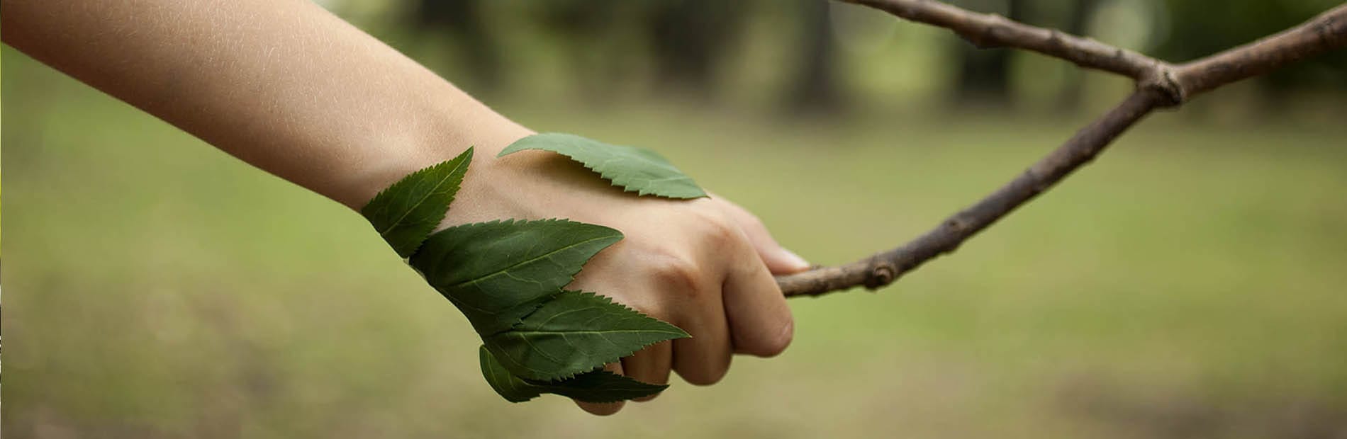 Ituzaingó consolida su "Compromiso Ambiental"  y lo enseña en escuelas del distrito