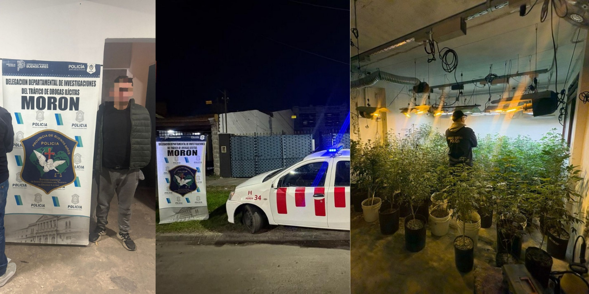 Desmantelan un sofisticado centro de cultivo "indoor" en Morón y secuestran más de 15 kilos