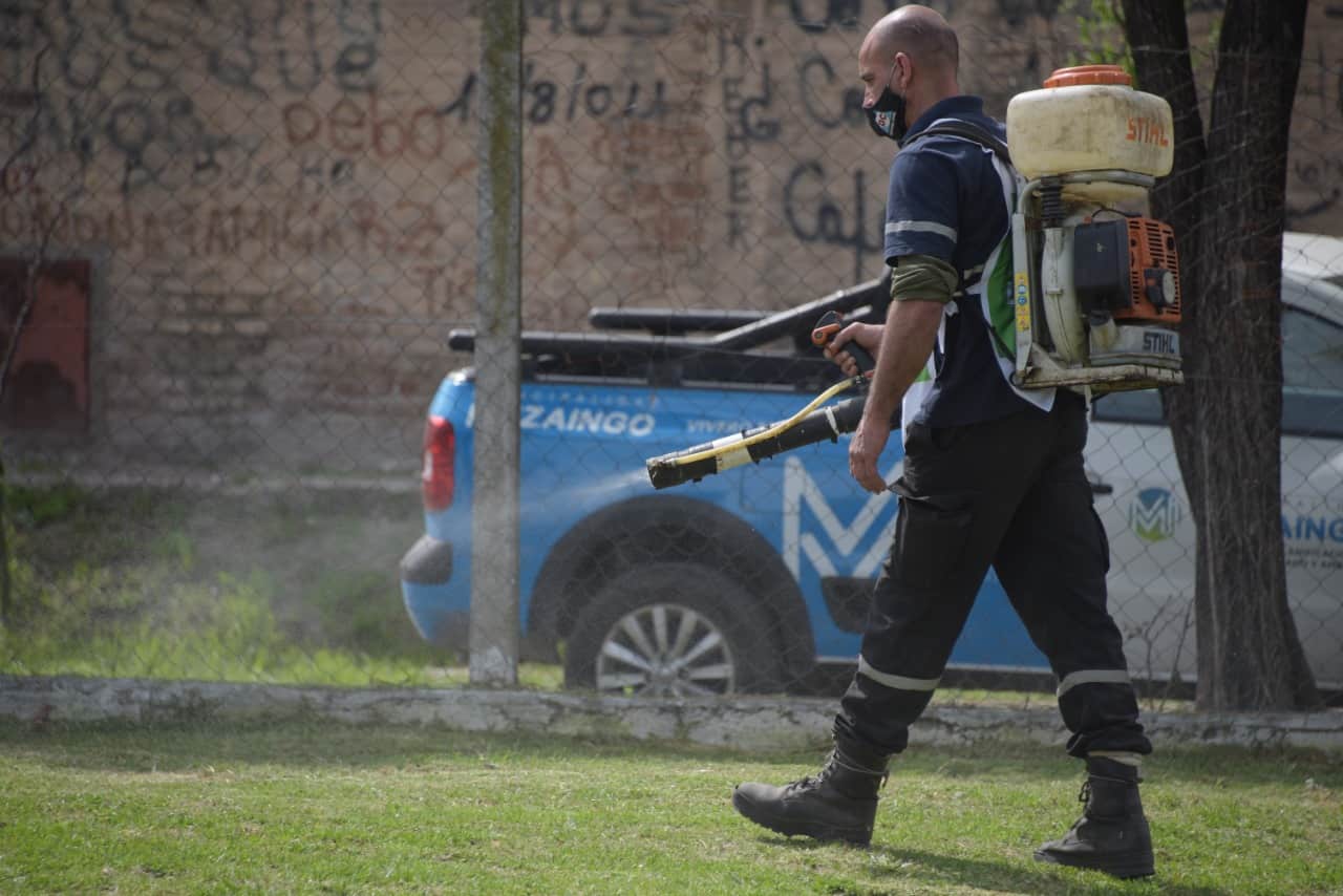 Fumigaciones dengue