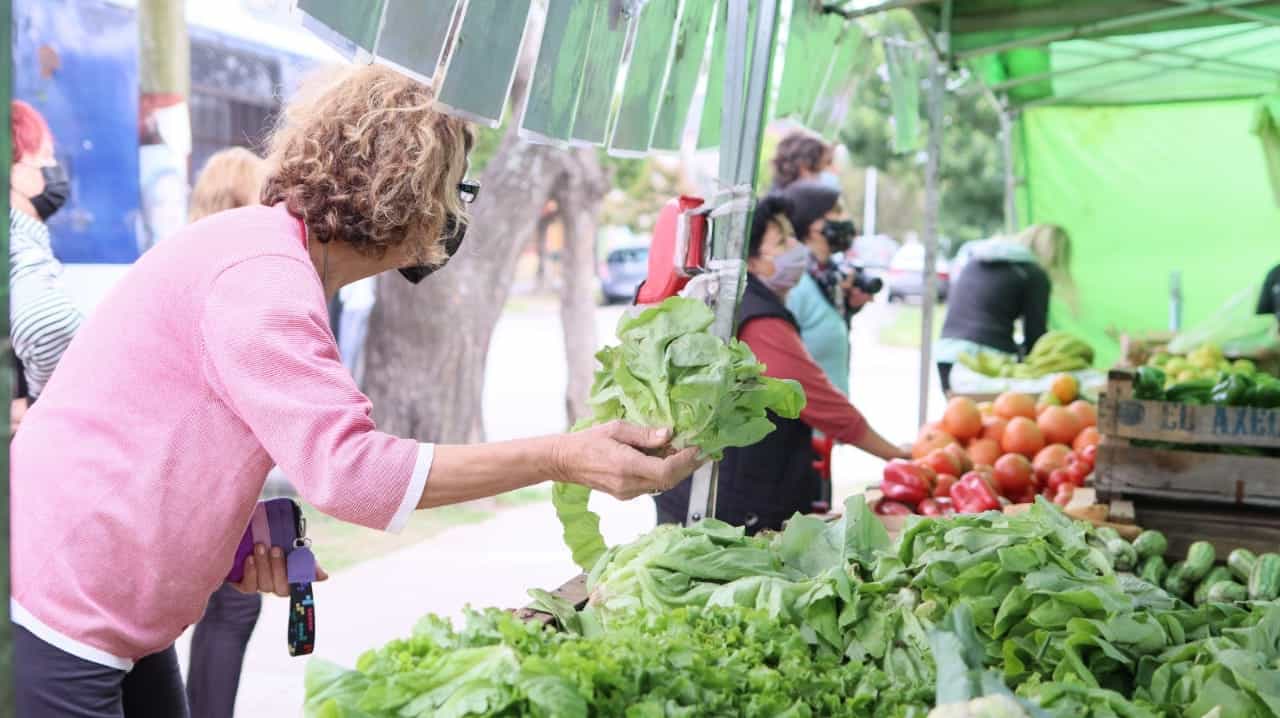El Mercado Central llega mañana a Morón Sur