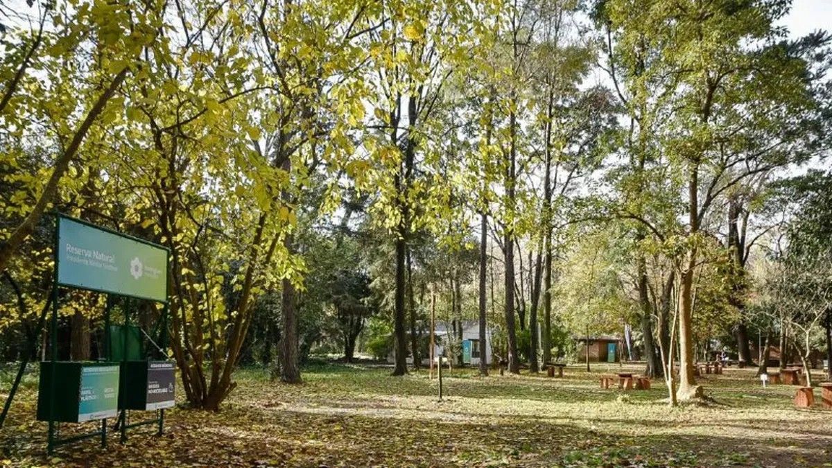 hurlingham reserva