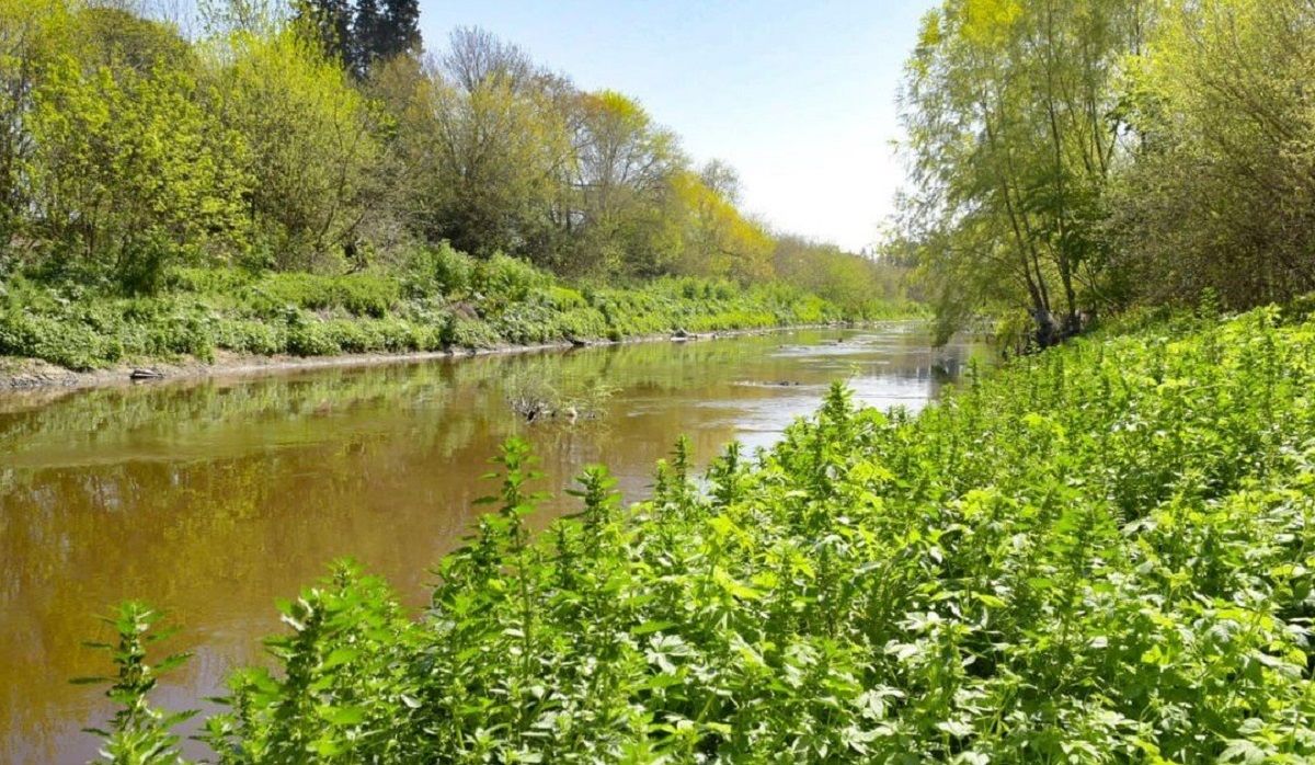 ComiRec Educación Ambiental