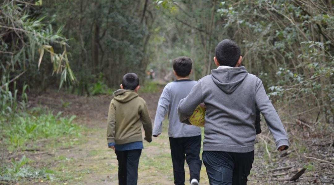 Este domingo se realizará una jornada de control de plantas exóticas en la Reserva Urbana de El Palomar