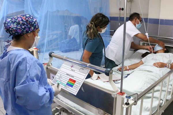 Avanza el dengue: descontrol y récord de casos y fallecidos