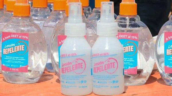 Ante el brote de dengue, la provincia de Buenos Aires fabrica y reparte repelentes gratuitos