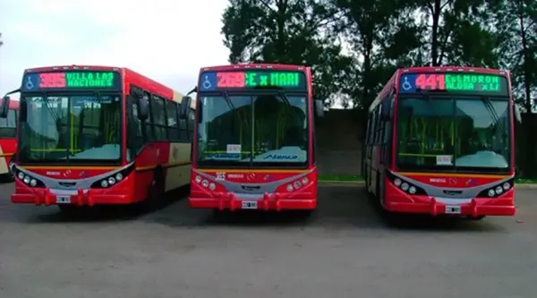 Mañana domingo, el transporte provincial será gratuito