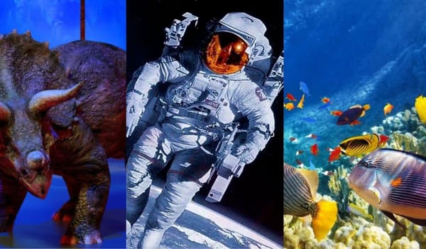 Morón: este domingo llega una serie de propuestas inmersivas