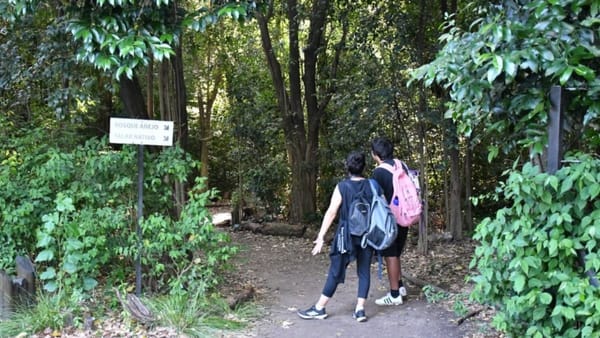 Día de los Bosques en Morón: reforestación y talleres gratuitos en las reservas naturales del distrito