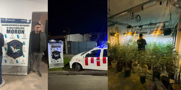 Desmantelan un sofisticado centro de cultivo "indoor" en Morón y secuestran más de 15 kilos