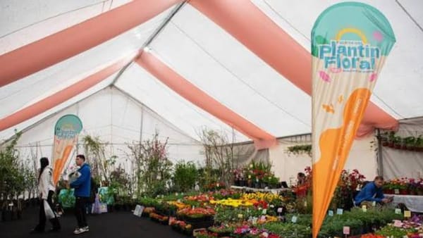 Moreno: llega una nueva edición de la Fiesta Provincial del Plantín Floral