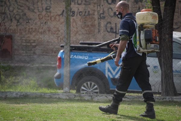 Fumigaciones dengue