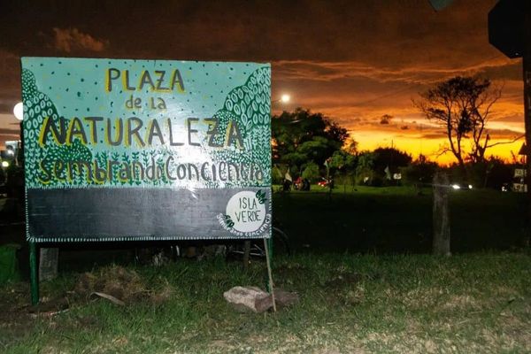 Organizaciones ambientalistas denuncian destrozos en una intervención realizada en El Palomar