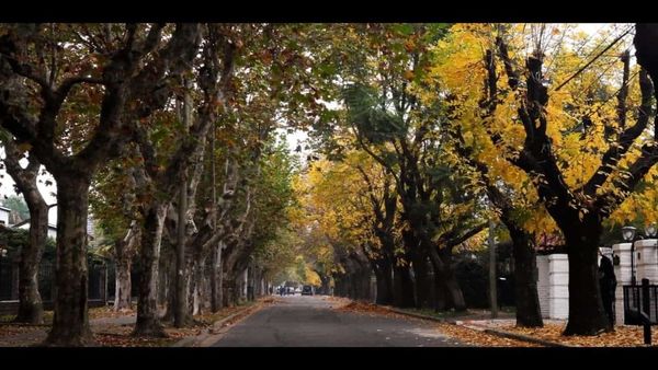 A 78 años de su fundación, la historia de Ciudad Jardín: la localidad que llena de verde al conurbano bonaerense