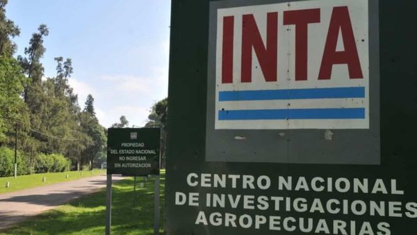 Este viernes comienza un ciclo de talleres en el INTA-AMBA