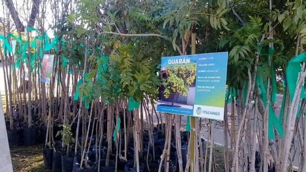 ituzaingo eco canje
