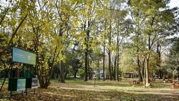 hurlingham reserva