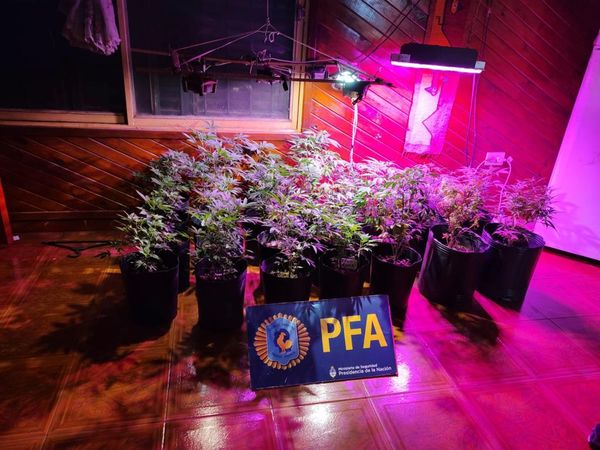 Desarticulan un vivero de drogas en Villa Sarmiento que la vendían en Libertad, Pontevedra, Haedo y Ramos Mejía