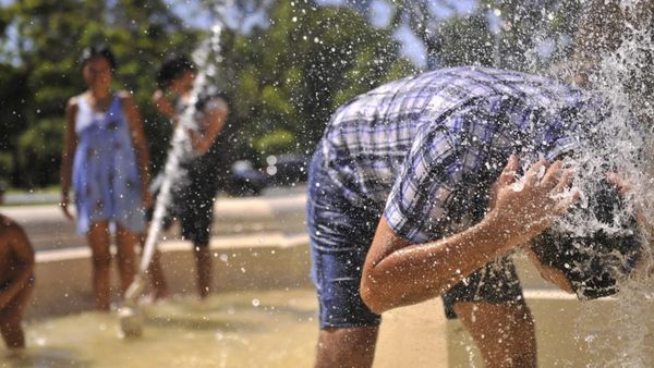 Alerta amarilla: gran parte de la provincia de Buenos Aires sufrirá altas temperaturas