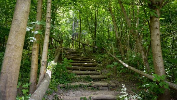 Ituzaingó: licitarán nuevamente la construcción de la Reserva Natural Urbana "Río Reconquista"