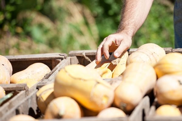 Curso de agroecología INTA