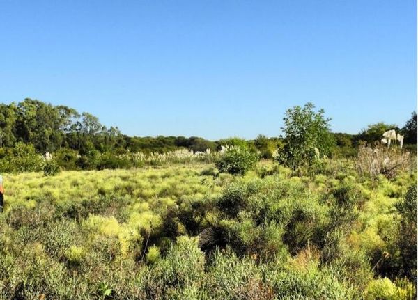 Visitas guiadas por la Reserva Urbana de El Palomar: cuándo comienzan
