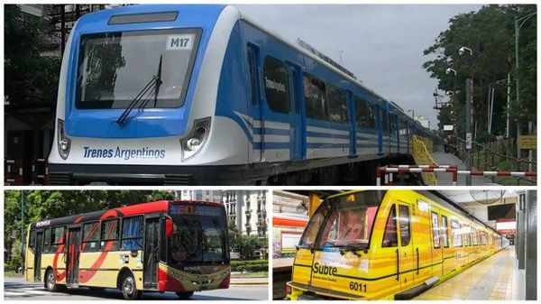 La Justicia suspendió el aumento del transporte que Milei proponía para febrero