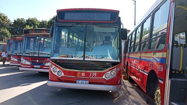 Paro de colectivos en Moreno