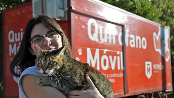 Castraciones gratuitas en Morón y Haedo: ¿Cómo anotar a tu mascota?