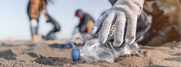 Día del Ambiente: ¿Por qué se celebra cada cinco de junio y qué medidas contempla Argentina para su conmemoración?