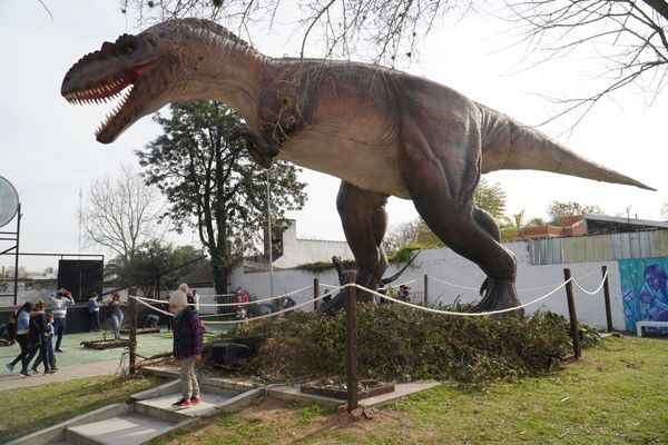 Con “Expo Dino” incluida, Merlo ofrece diversas actividades gratuitas para las vacaciones de invierno