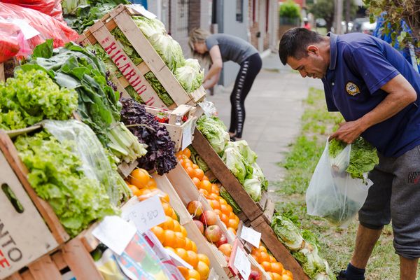 Hurlingham: este jueves habrá un Mercado Popular con Espacio Mascotero