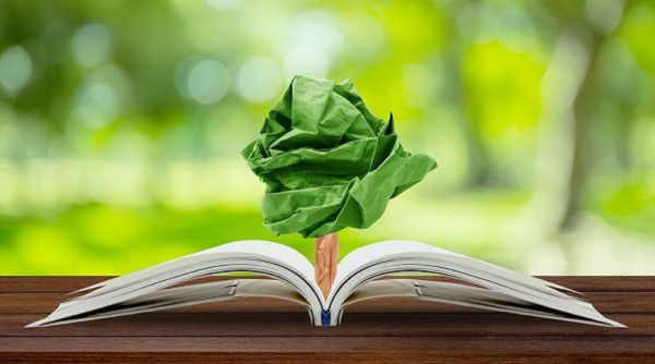 Ituzaingó contará con una Diplomatura Universitaria en Comunicación y Educación Ambiental