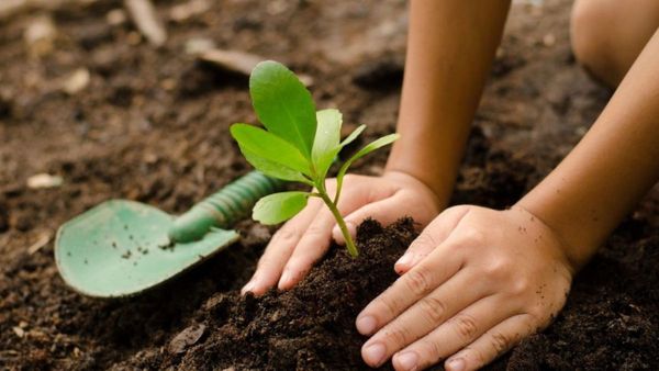 Este viernes habrá una jornada de Educación Ambiental en Hurlingham