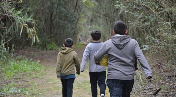 Este domingo se realizará una jornada de control de plantas exóticas en la Reserva Urbana de El Palomar