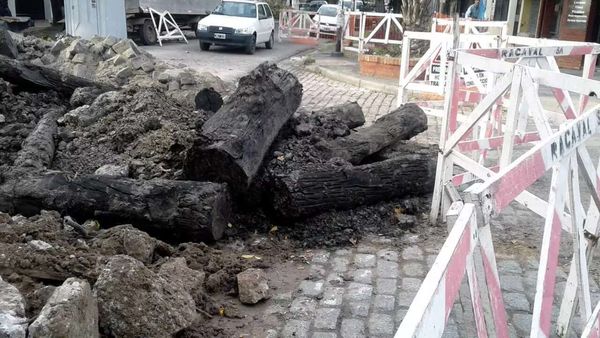 Un descubrimiento sorprendente: la historia de los postes de madera hallados en Haedo