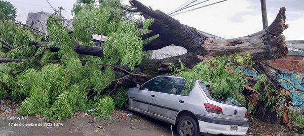 Temporal en Ituzaingó: 200 arboles caídos, 70 techos volados y postes de luz en el suelo