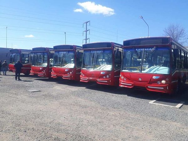 Era Milei: en el Conurbano se reduce un 50 % la circulación de colectivos y se complica aun más la situación del transporte