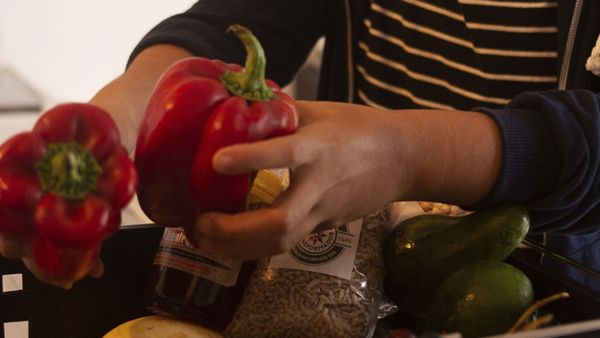 Otra alimentación es posible: La historia del Mercado Transformador de Haedo que apuesta a una alternativa al supermercadismo y los agrotóxicos