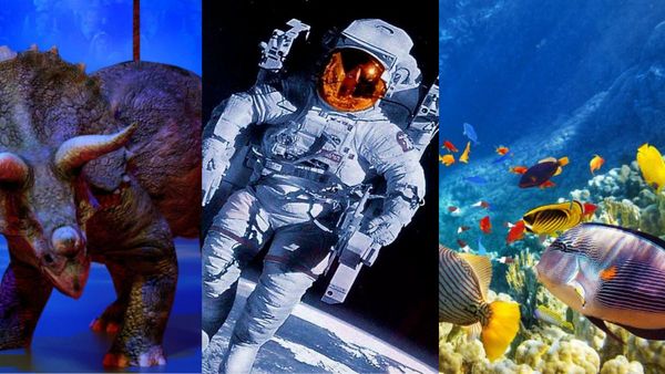 Paseo de dinosaurios, viaje al espacio y aventuras submarinas en Ituzaingó